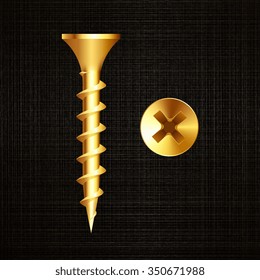 screw on a metal background. Vector illustration.