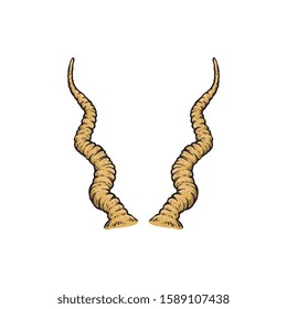 Screwhorn antelope horn drawing isolated on white background, pair of yellow curved animal horns - hunting trophy in hand drawn sketch style - vector illustration