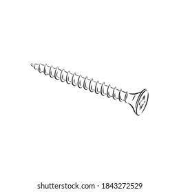 screws, nails isolated on a white background. Vector illustration, metal screw vector sketch illustration