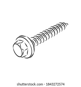 screws, nails isolated on a white background. Vector illustration, metal screw vector sketch illustration