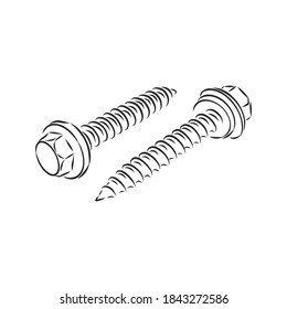 screws, nails isolated on a white background. Vector illustration, metal screw vector sketch illustration