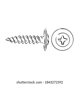 screws, nails isolated on a white background. Vector illustration, metal screw vector sketch illustration