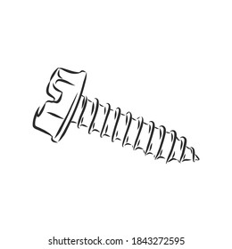 screws, nails isolated on a white background. Vector illustration, metal screw vector sketch illustration