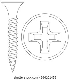 Screws. Vector illustration isolated on white background