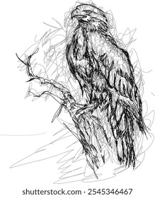 Scribble art, drawing, sketch  animal Eagle