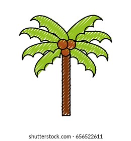 scribble beach palm cartoon