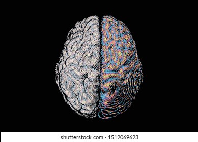 Scribble doodle tangled thread drawing hemispheres of human brain top view gray left cerebral and colorful rainbow on right isolated on black background