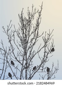 Scribble drawing of silhouettes branches bare tree with sparrows flock