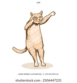 Vector de ilustración de gato lindo dibujado a mano 