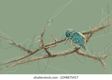 scribble illustration bird on a branch