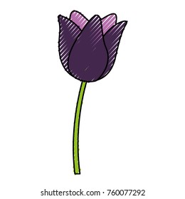 scribble purple flower cartoon
