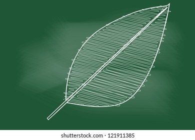 scribble sketch of leaf on blackboard