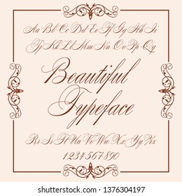 Script handwriting font - Beautiful Typeface - vector alphabet. Hand drawn letters.
