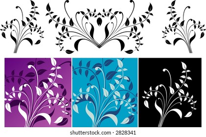 Scroll, cartouche, decor, vector illustration