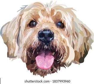 Scruffy friendly illustrated dog with tongue hanging out