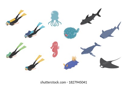 Scuba diving and free diver and underwater animals isometric icons and ground objects vector illustration