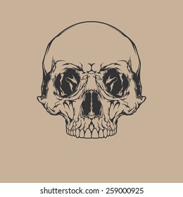 Scull. 