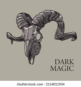 Scull. Black magic. Hand engraved tattoo style illustration Spooky night gothic witchcraft