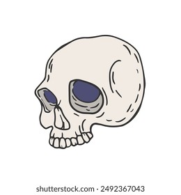 Scull clip art. Hand drawn illustration.	