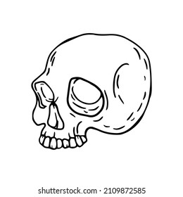 Scull in doodle style. Hand drawn illustration.