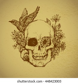 scull with flowers and bird vintage vector illustration