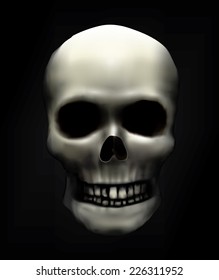 Scull. Realistic anatomical vector study.