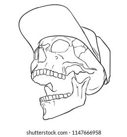 Scull vector illustration
