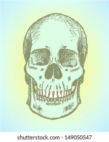 Scull, vector sketch background