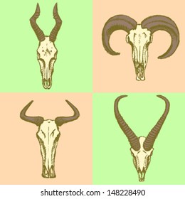 Scull, vector sketch set