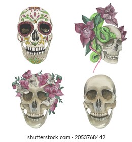 Sculls collection, watercolor illustrations. Vector isolated elements.