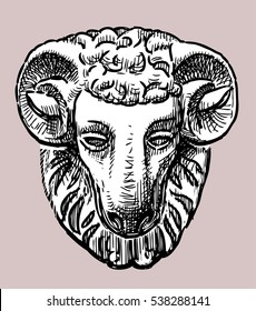 sculptural relief of a ram's head