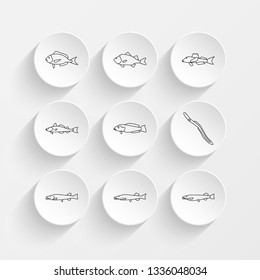 scup, white perach, northen searobin, atlantic cod and oyster toadfish icons on plate illustration set