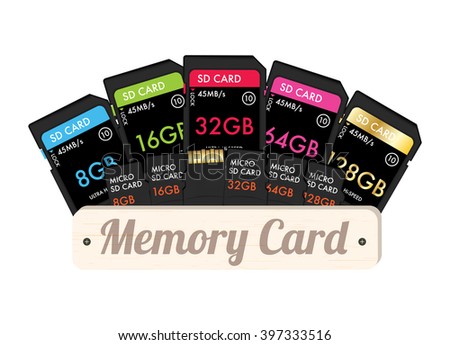 SD and Micro SD memory card