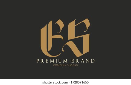 SE or ES initial logo template vector illustration
