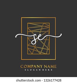 SE Initial Handwriting logo template vector