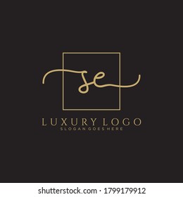 SE Initial handwriting logo template vector