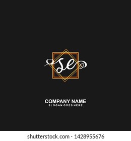SE Initial handwriting logo vector