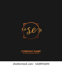 SE Initial handwriting logo vector