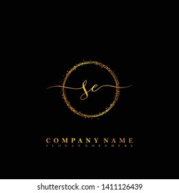 SE Initial luxury handwriting logo vector