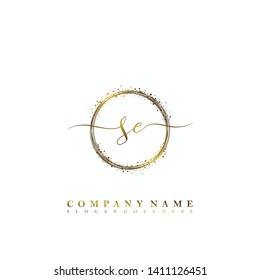 SE Initial luxury handwriting logo vector