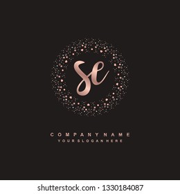 SE initial signature logo. handwriting logo template vector,