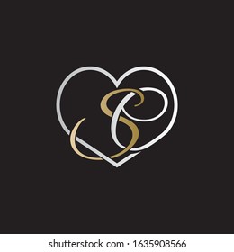 SE logo design vector luxury icon symbol