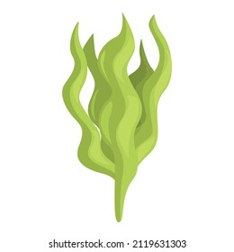 Vector de dibujos animados de iconos de algas marinas. Planta de Alga. Alimentos para algas marinas