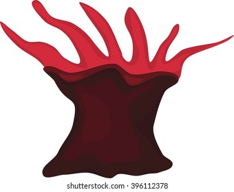 Sea Anemone 