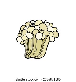 Sea anemone coloring book  color variation for coloring page isolated on white background