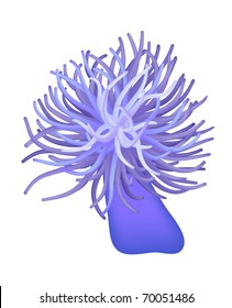 sea anemone - sea flower - vector