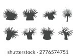 Sea anemone silhouette, Sea anemone vector, Sea anemone drawing, Sea anemone icons.