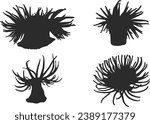 Sea anemone silhouette,  Sea anemone vector illustration, Sea anemone, Sea anemone clipart. 