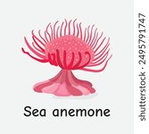 Sea Anemone Vector Illustration: Colorful Marine Invertebrate