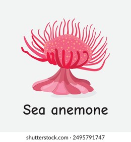 Seeanemone, Vektorgrafik: Bunte Marine Invertebrate